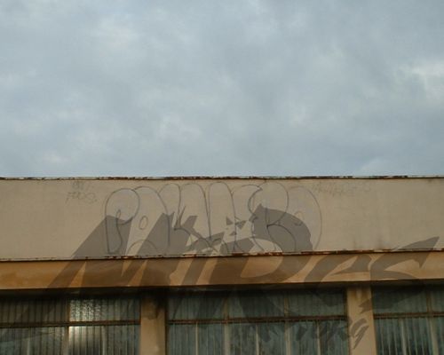 PALMERO BY KAL IWS  ROMOLO 1995